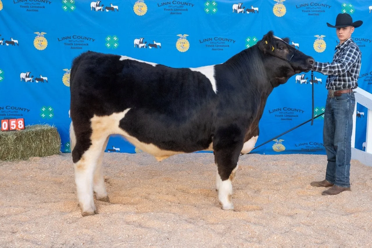 Beef 058 (1 of 1).jpg