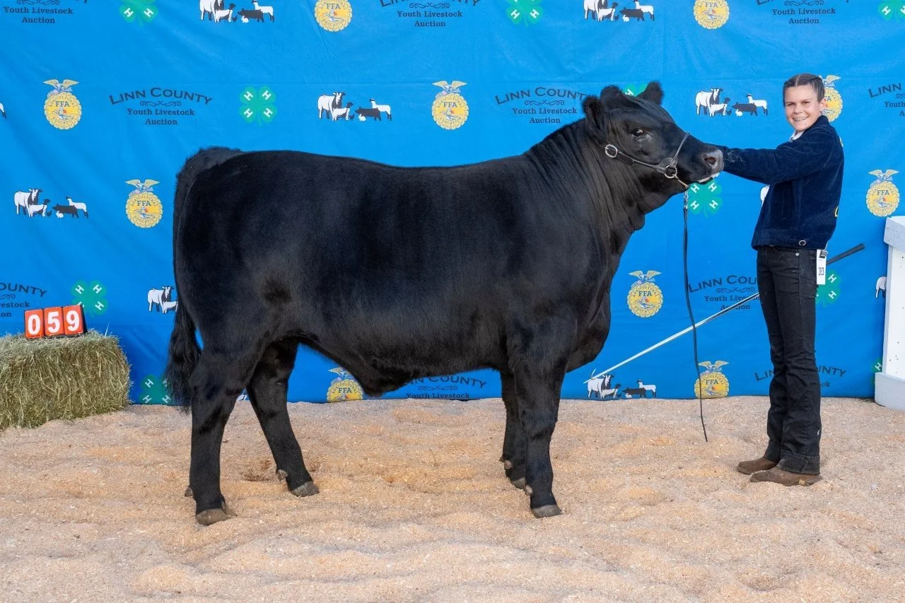 Beef 059 (1 of 1).jpg