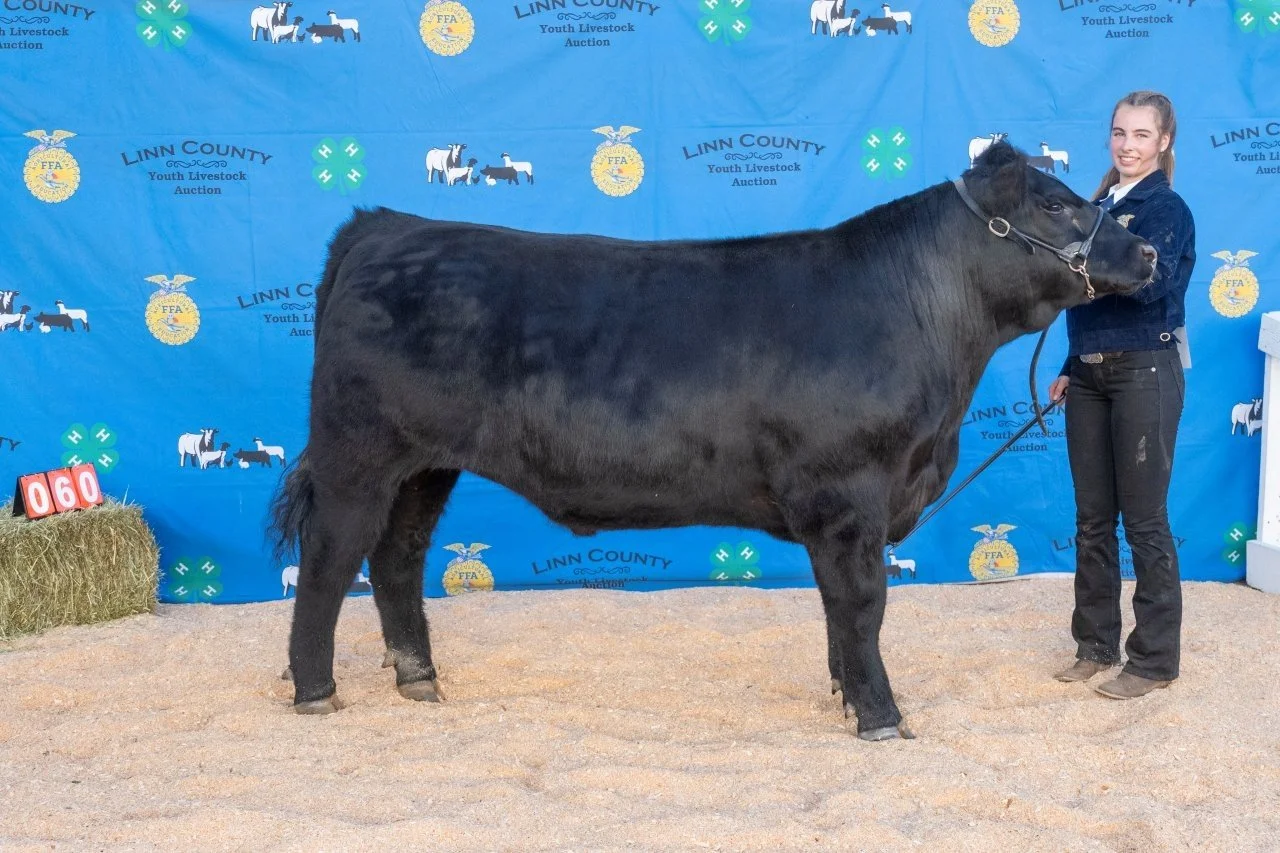 Beef 060 (1 of 1).jpg