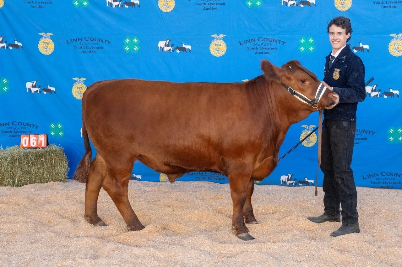 Beef 061 (1 of 1).jpg