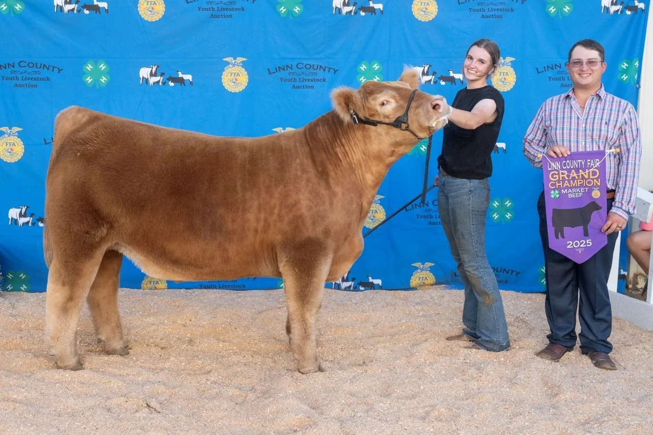 Beef 3142 (1 of 1).jpg