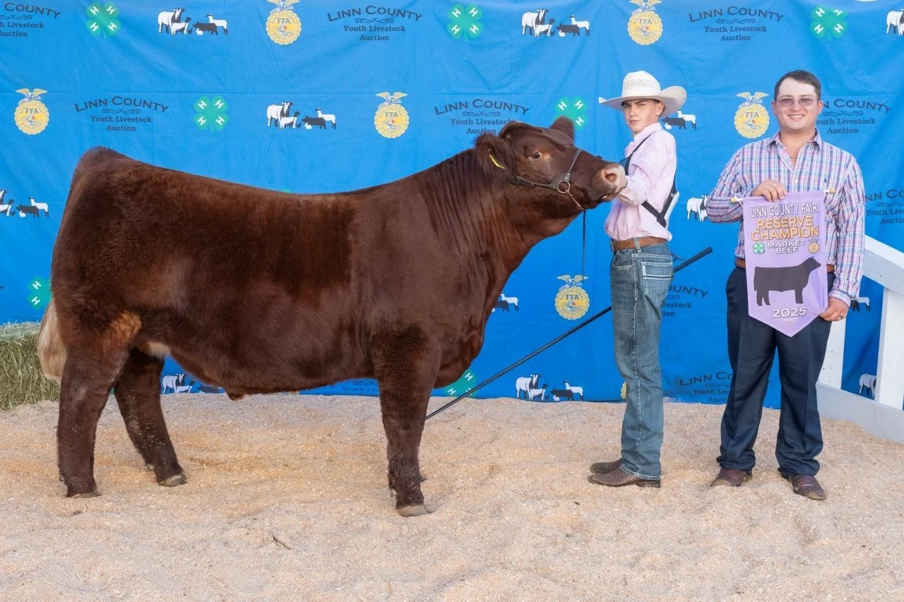 Beef 3163 (1 of 1).jpg