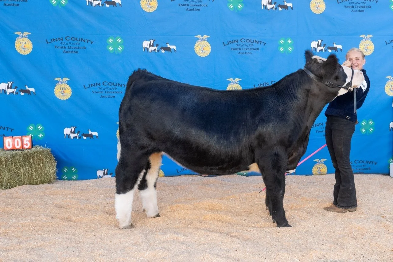 Beef 005 (1 of 1).jpg