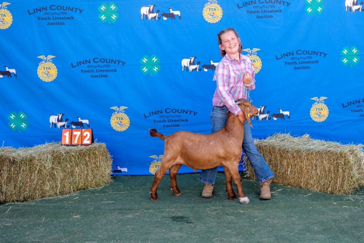 Goat 172 (1 of 1).jpg