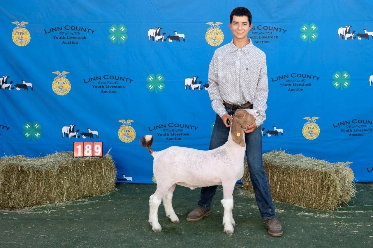 Goat 189 (1 of 1).jpg