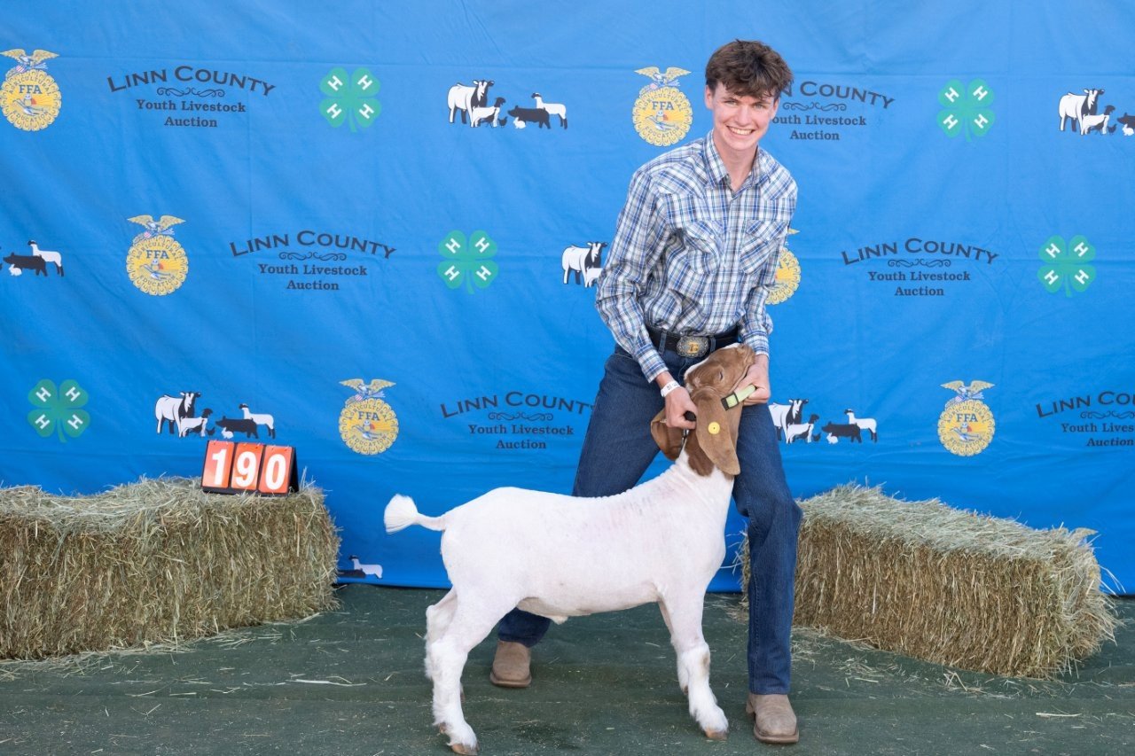 Goat 190 (1 of 1).jpg