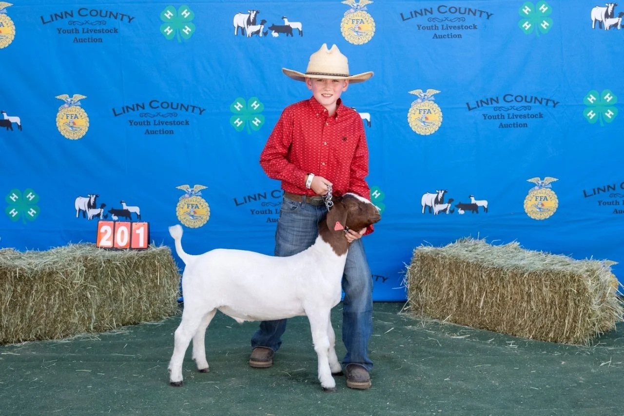 Goat 201 (1 of 1).jpg