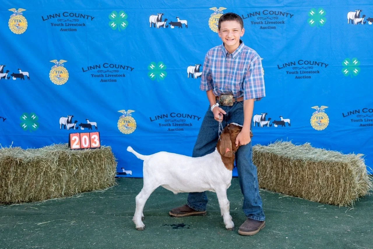 Goat 203 (1 of 1).jpg