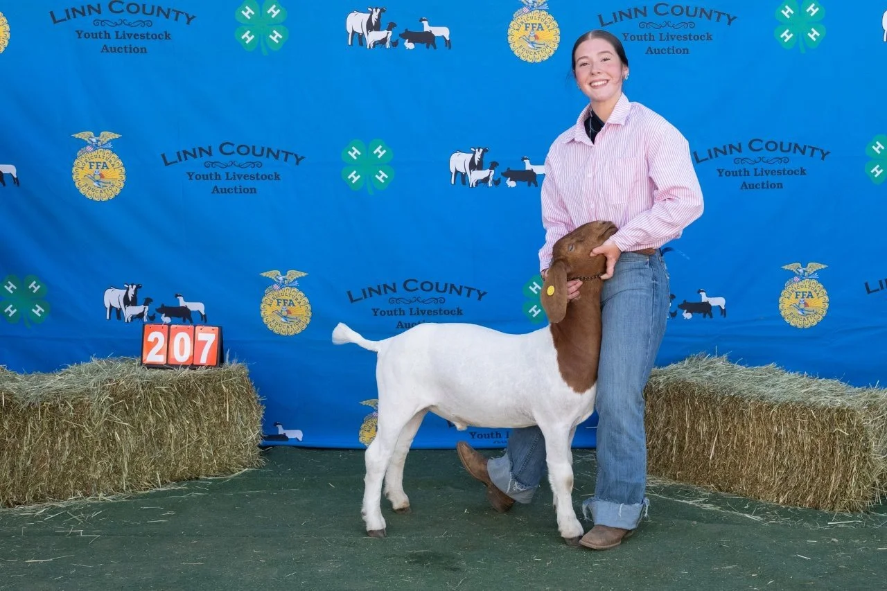 Goat 207 (1 of 1).jpg
