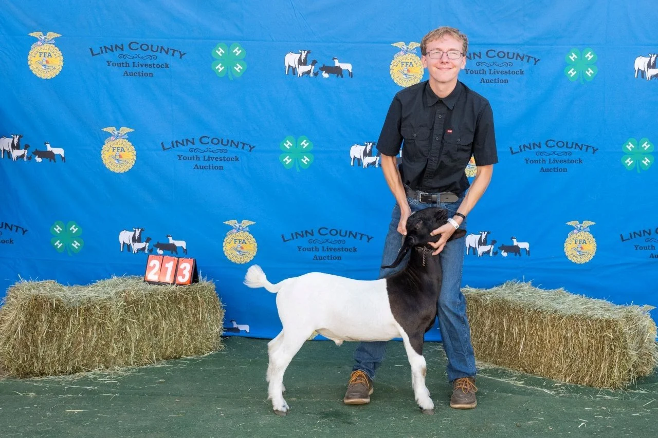 Goat 213 (1 of 1).jpg