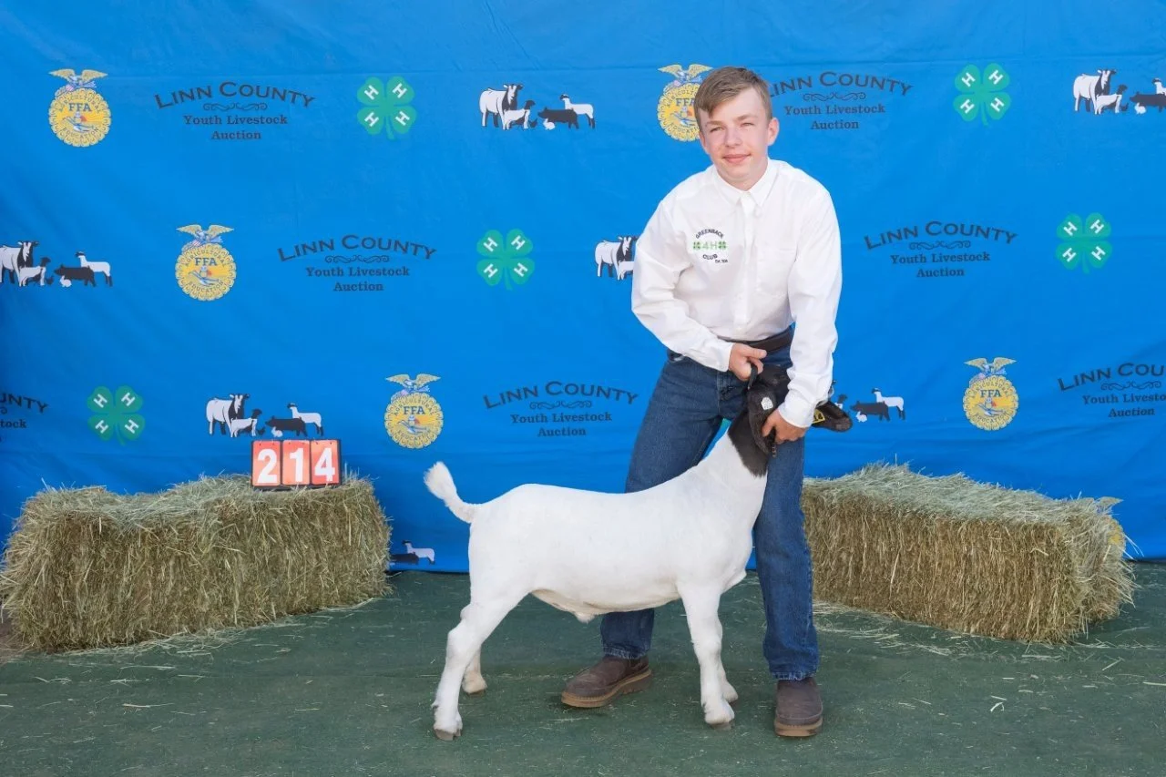 Goat 214 (1 of 1).jpg
