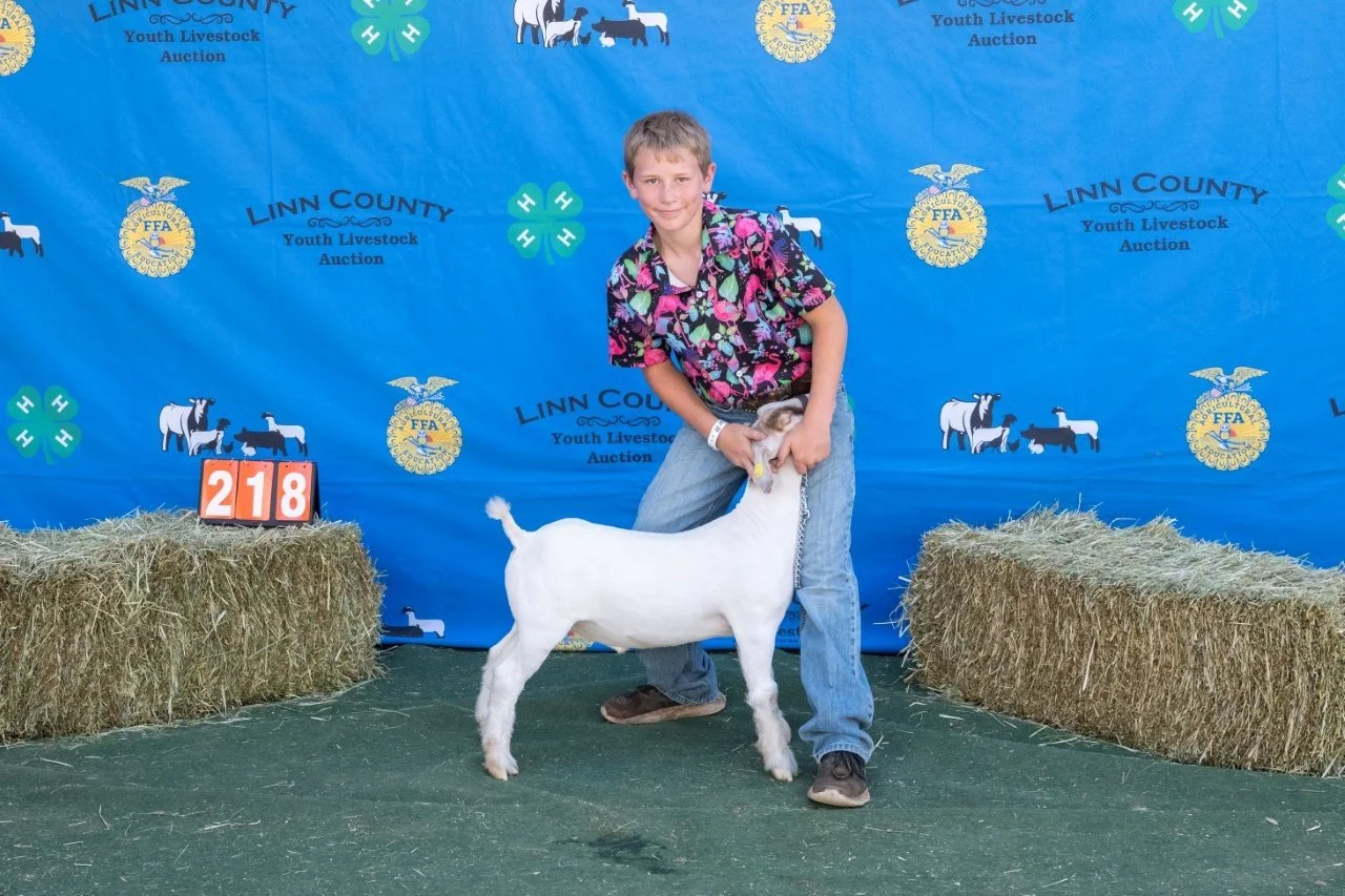 Goat 218 (1 of 1).jpg