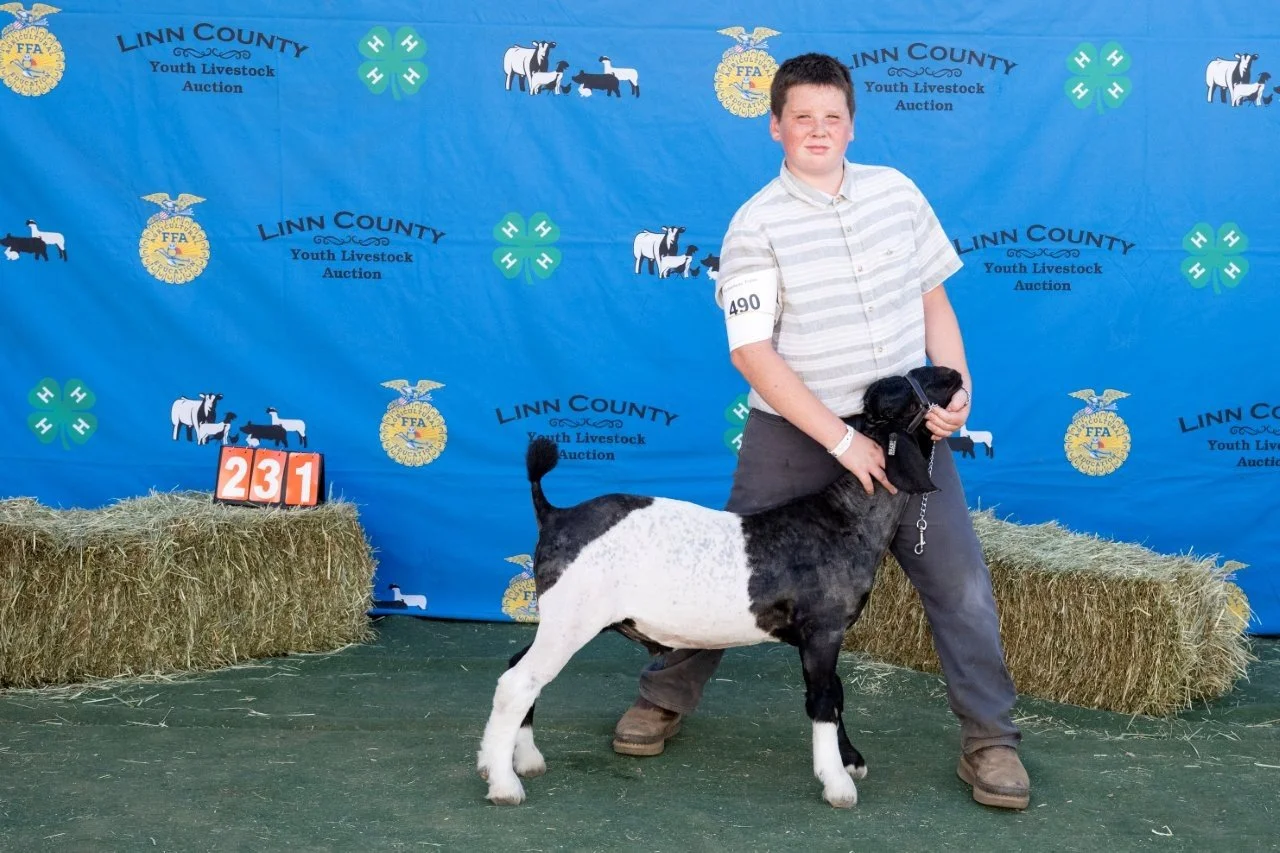 Goat 231 (1 of 1).jpg