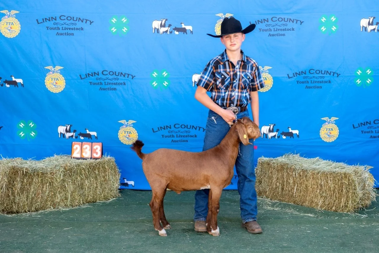 Goat 233 (1 of 1).jpg