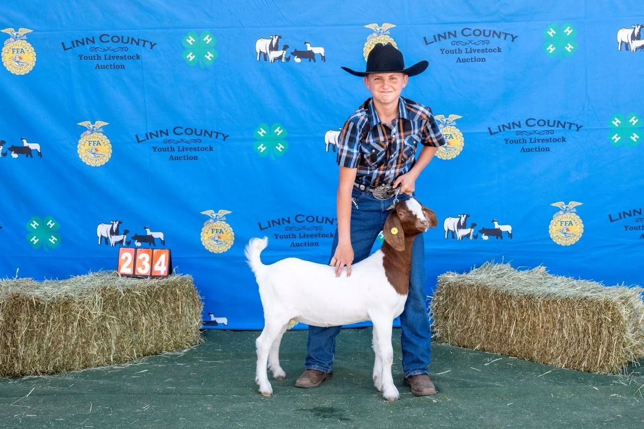 Goat 234 (1 of 1).jpg