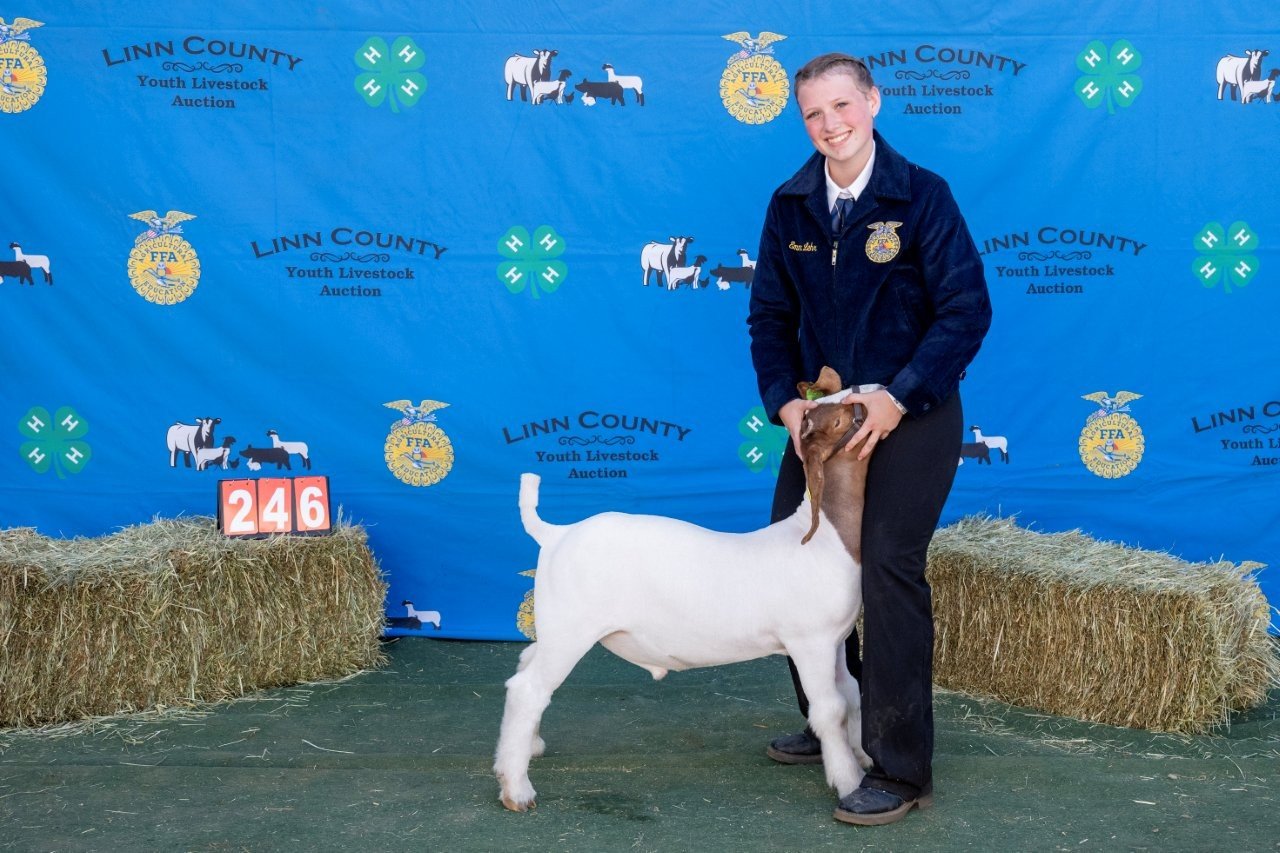 Goat 246 (1 of 1).jpg