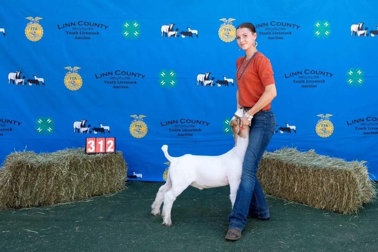 Goat 312_ (1 of 1).jpg