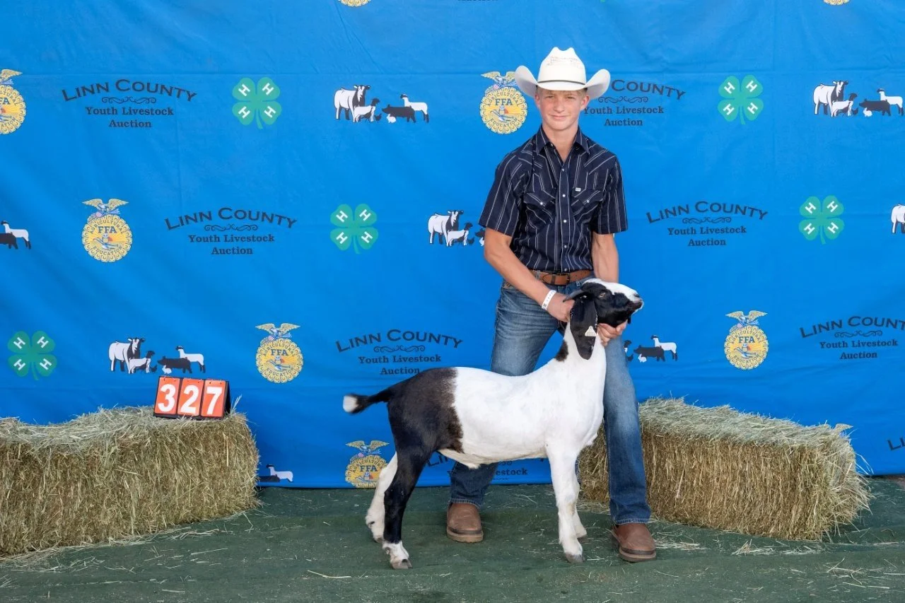 Goat 327 (1 of 1).jpg