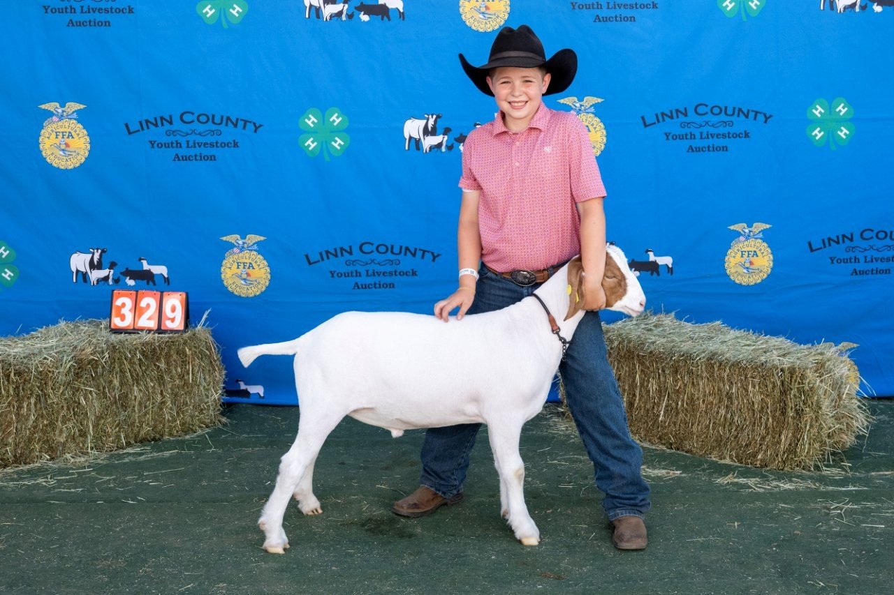 Goat 329 (1 of 1).jpg