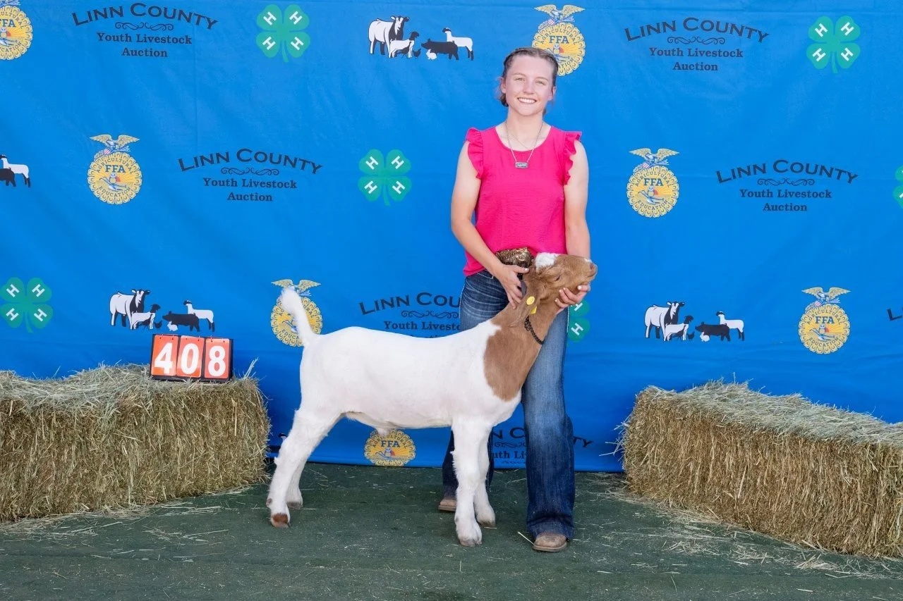 Goat 408 (1 of 1).jpg