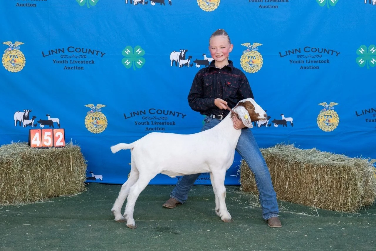 Goat 452 (1 of 1).jpg