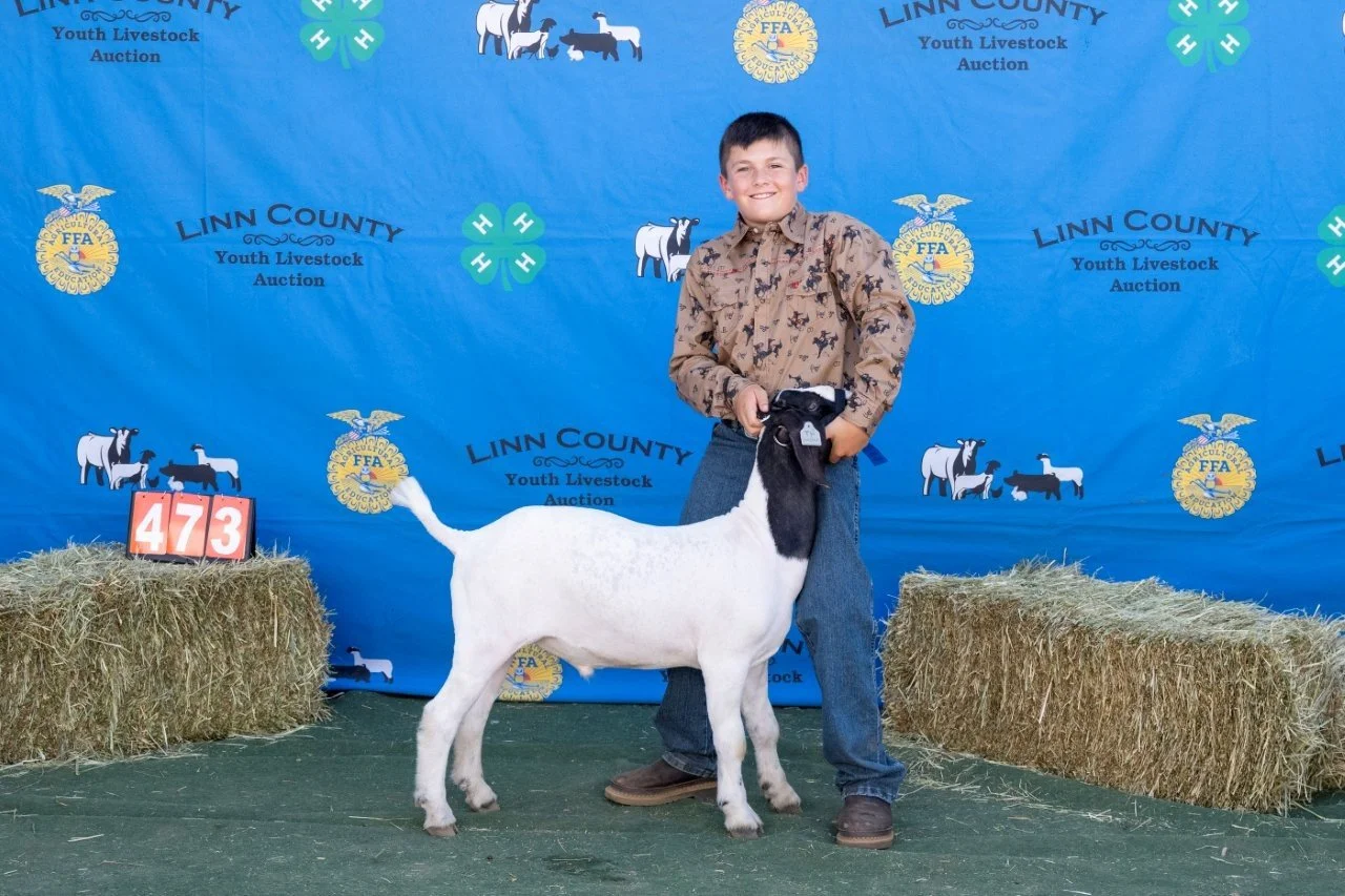 Goat 473 (1 of 1).jpg
