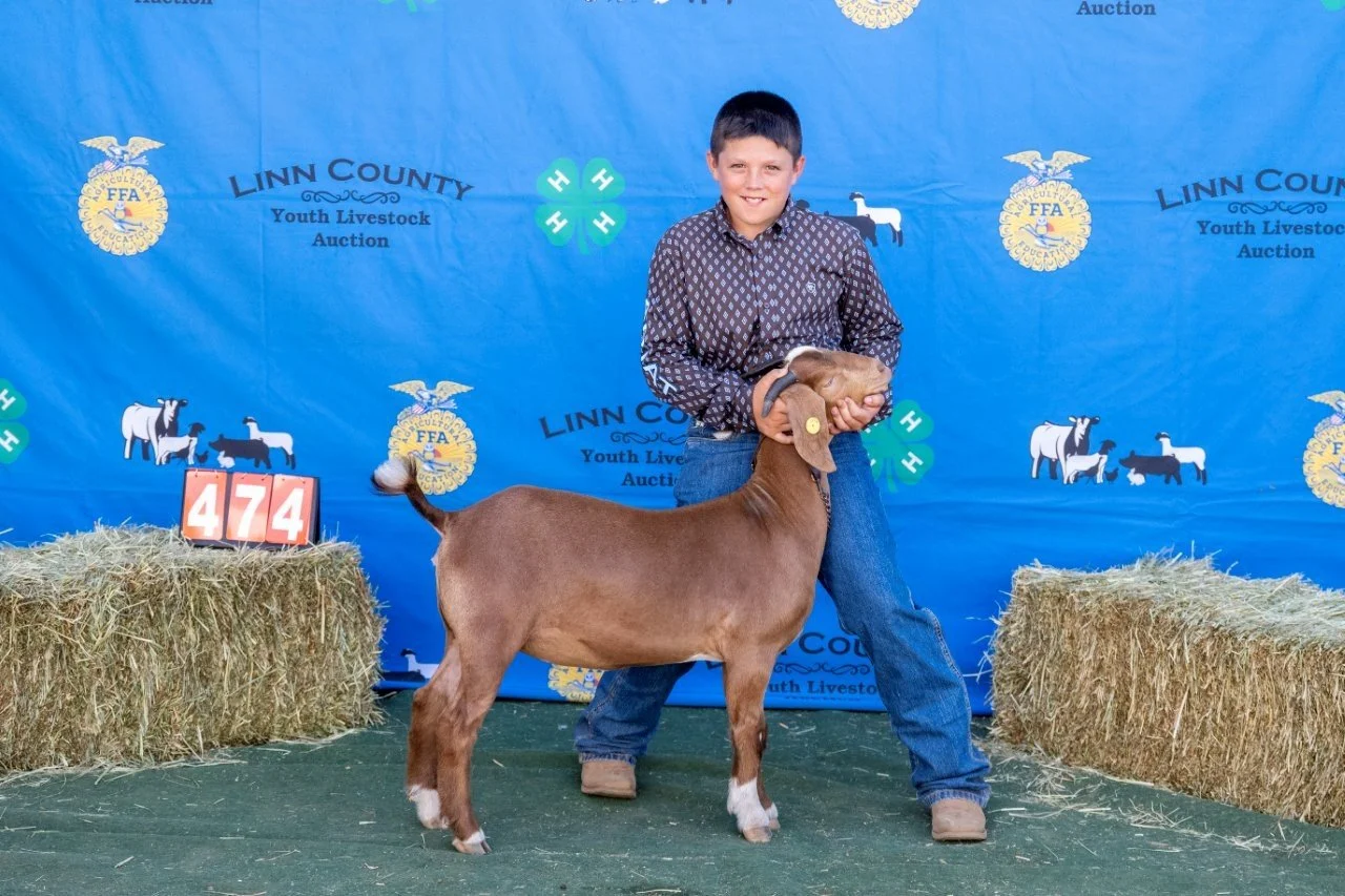 Goat 474 (1 of 1).jpg