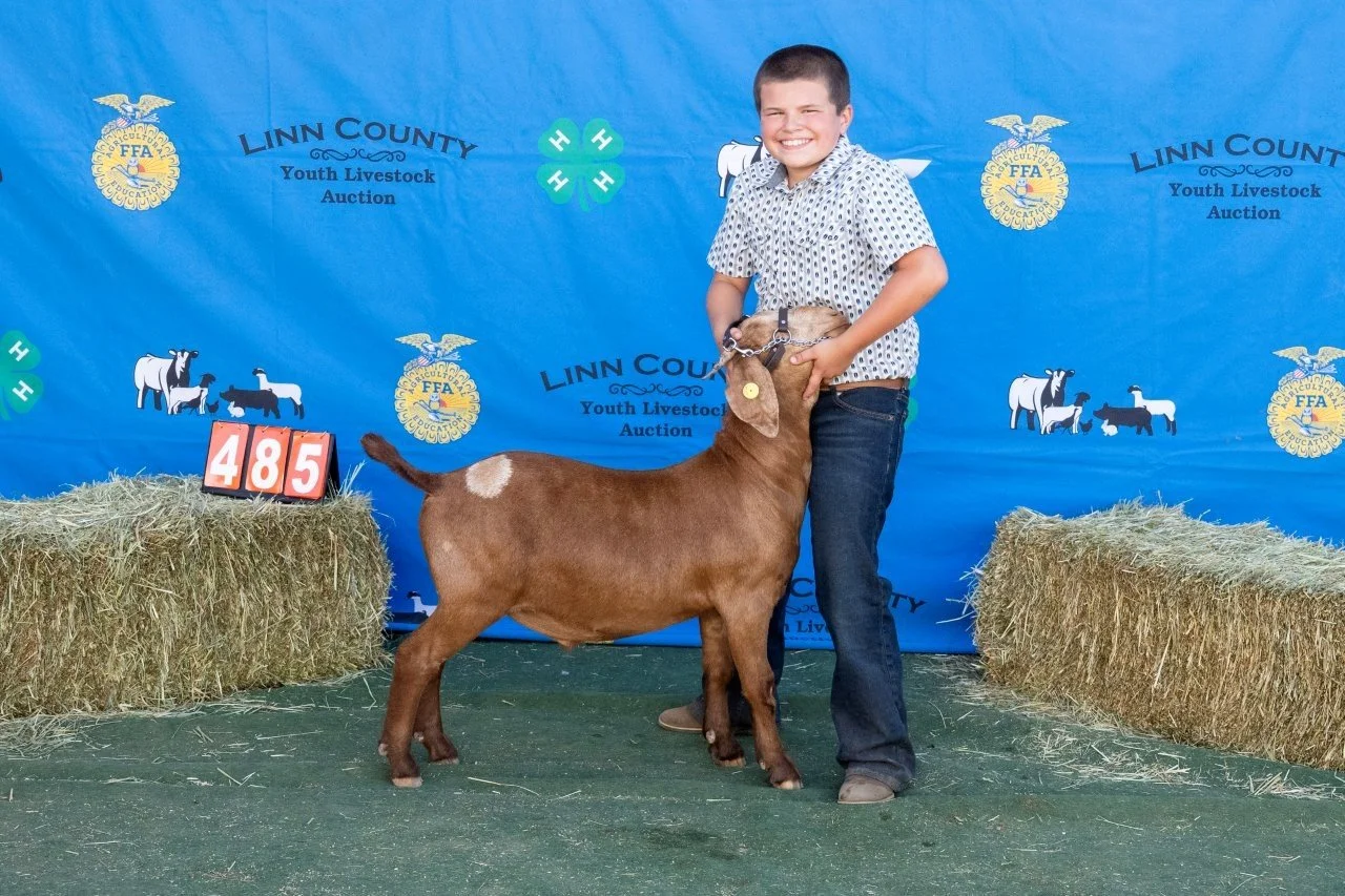 Goat 485 (1 of 1).jpg