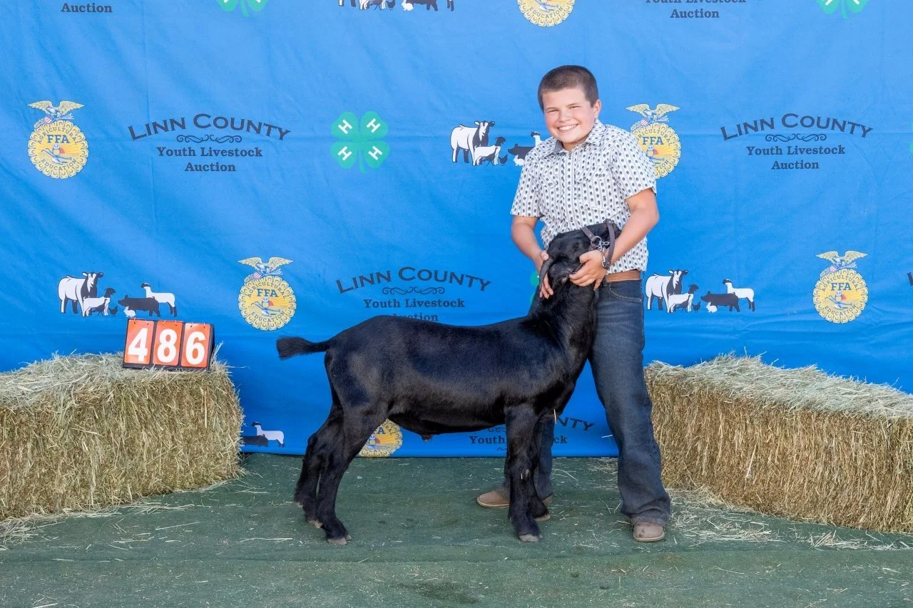 Goat 486 (1 of 1).jpg