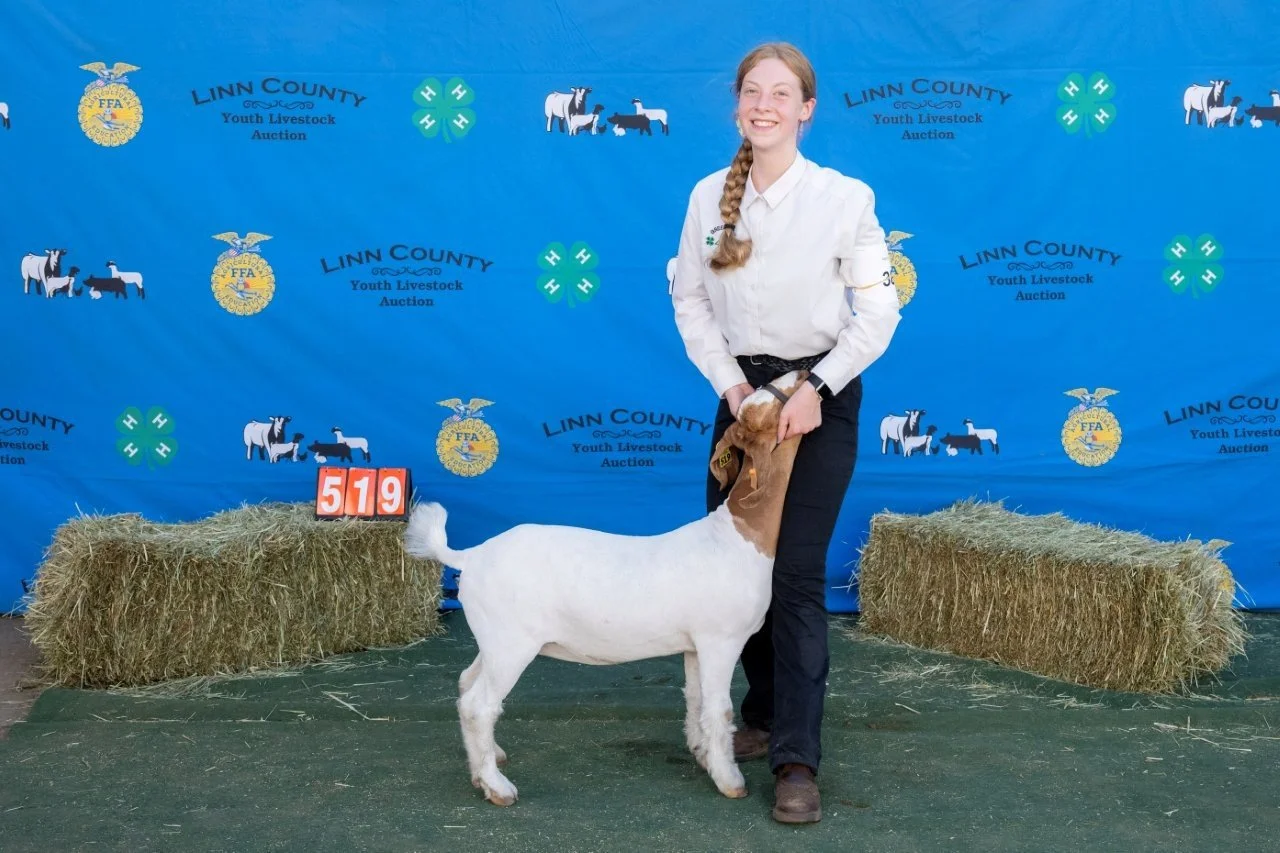 Goat 519 (1 of 1).jpg