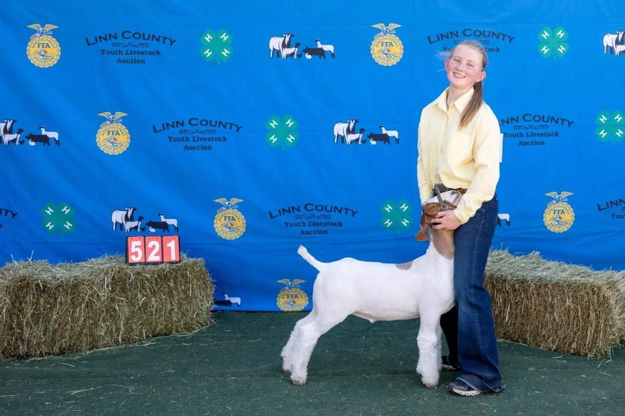 Goat 521 (1 of 1).jpg