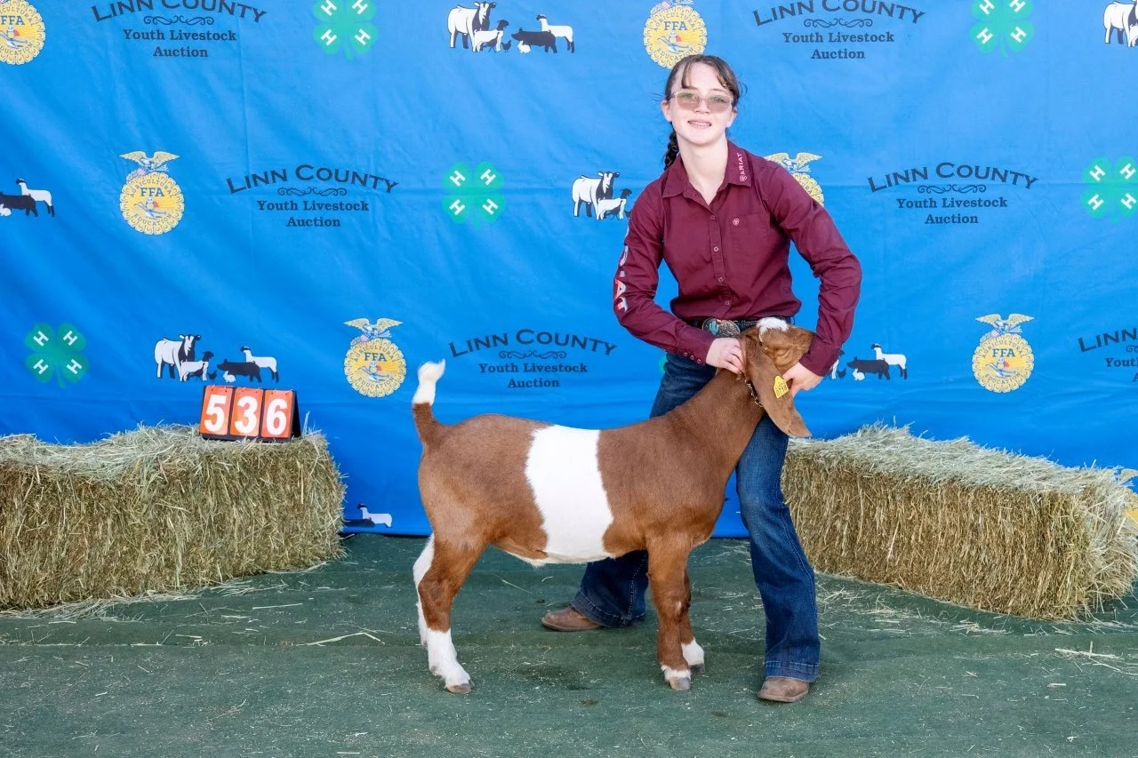 Goat 536 (1 of 1).jpg