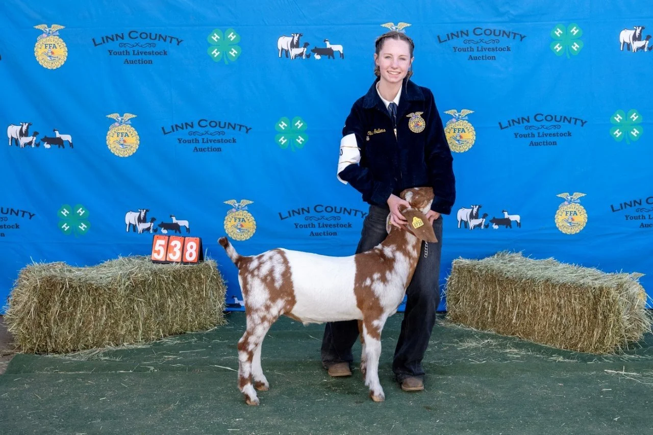 Goat 538 (1 of 1).jpg