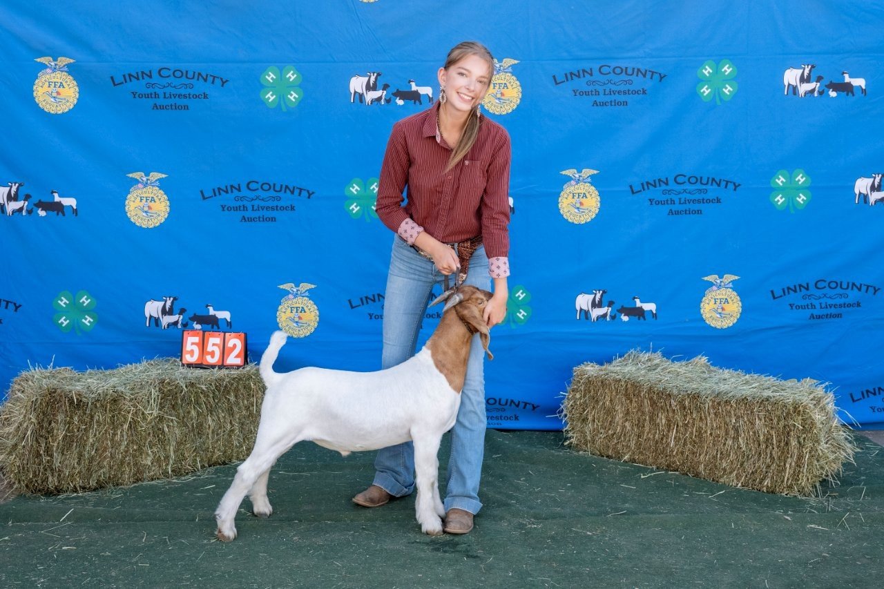 Goat 552 (1 of 1).jpg