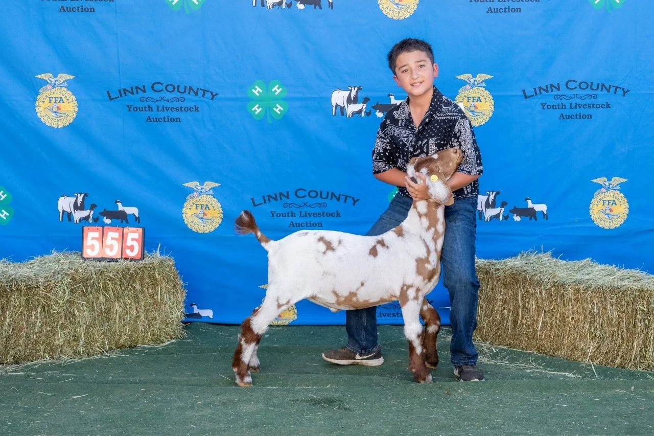 Goat 555 (1 of 1).jpg