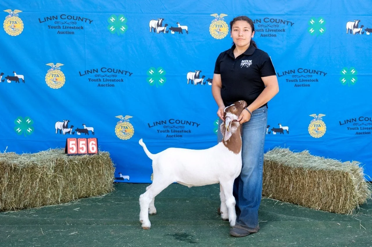 Goat 556 (1 of 1).jpg