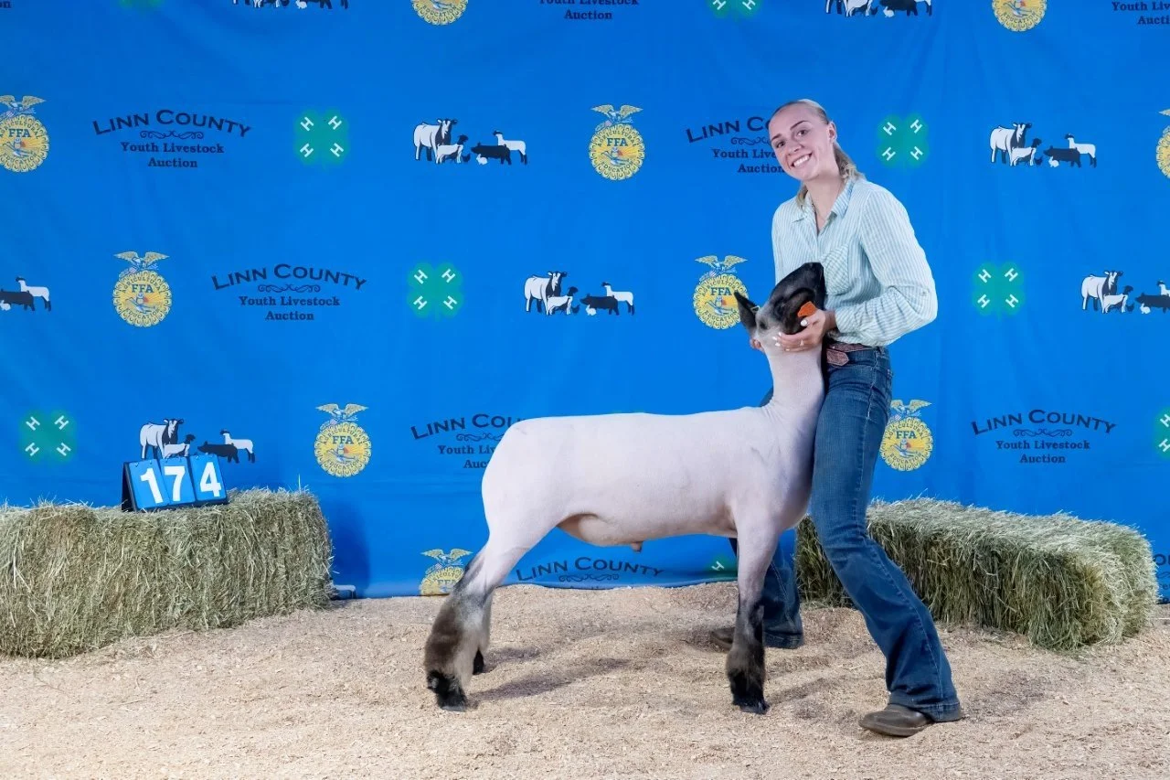Sheep 174 (1 of 1).jpg