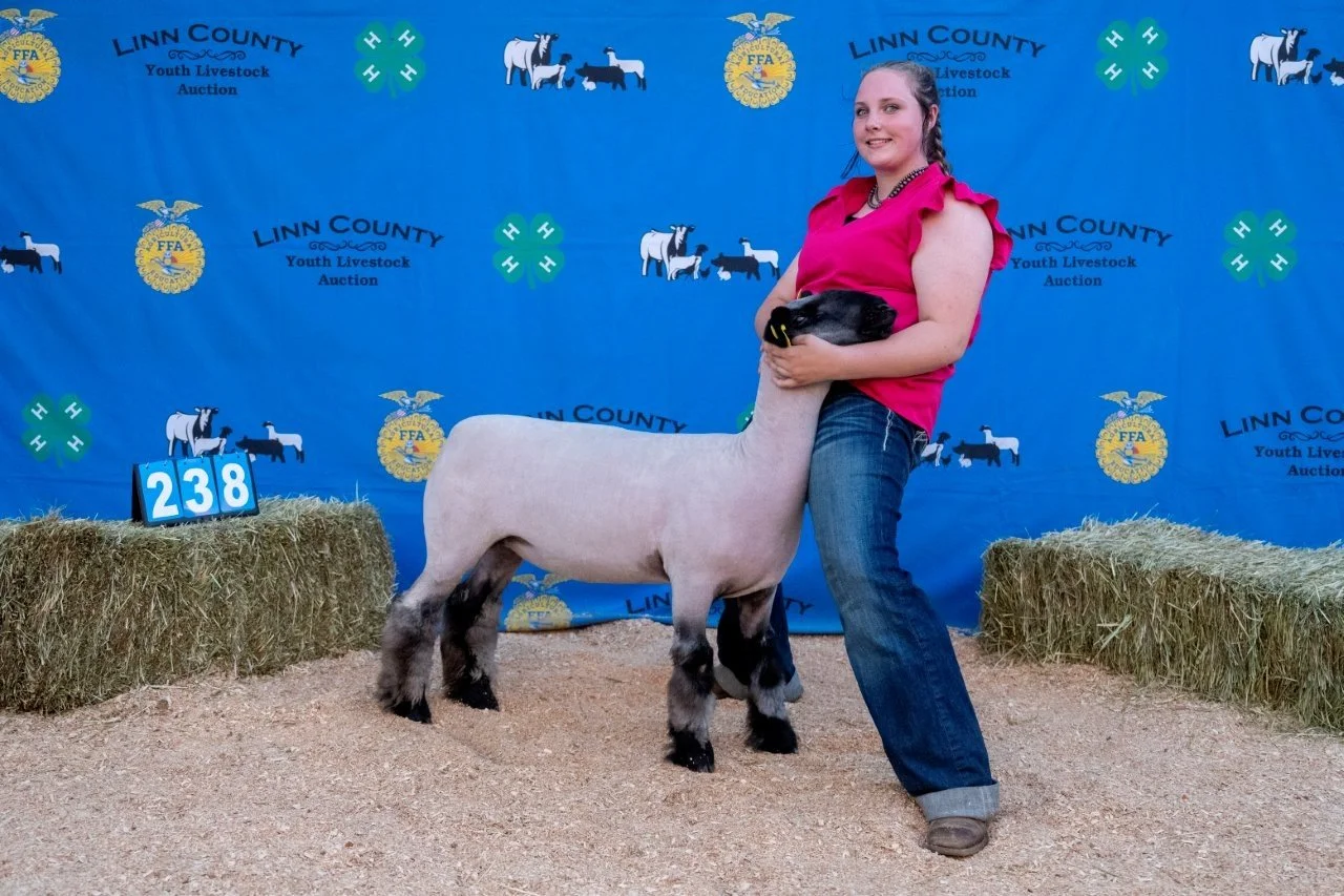 Sheep 238 (1 of 1).jpg