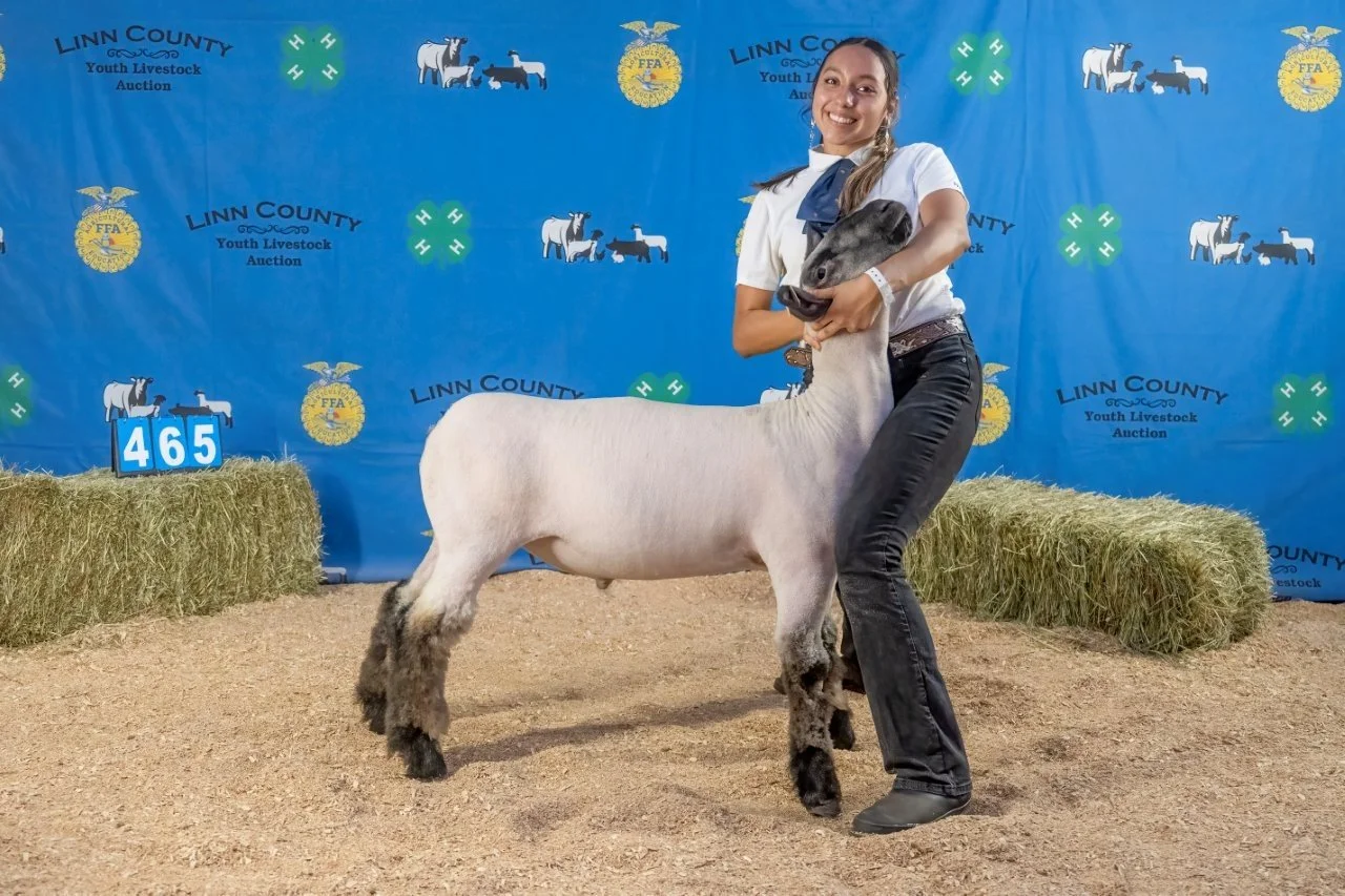 Sheep 465 (1 of 1).jpg