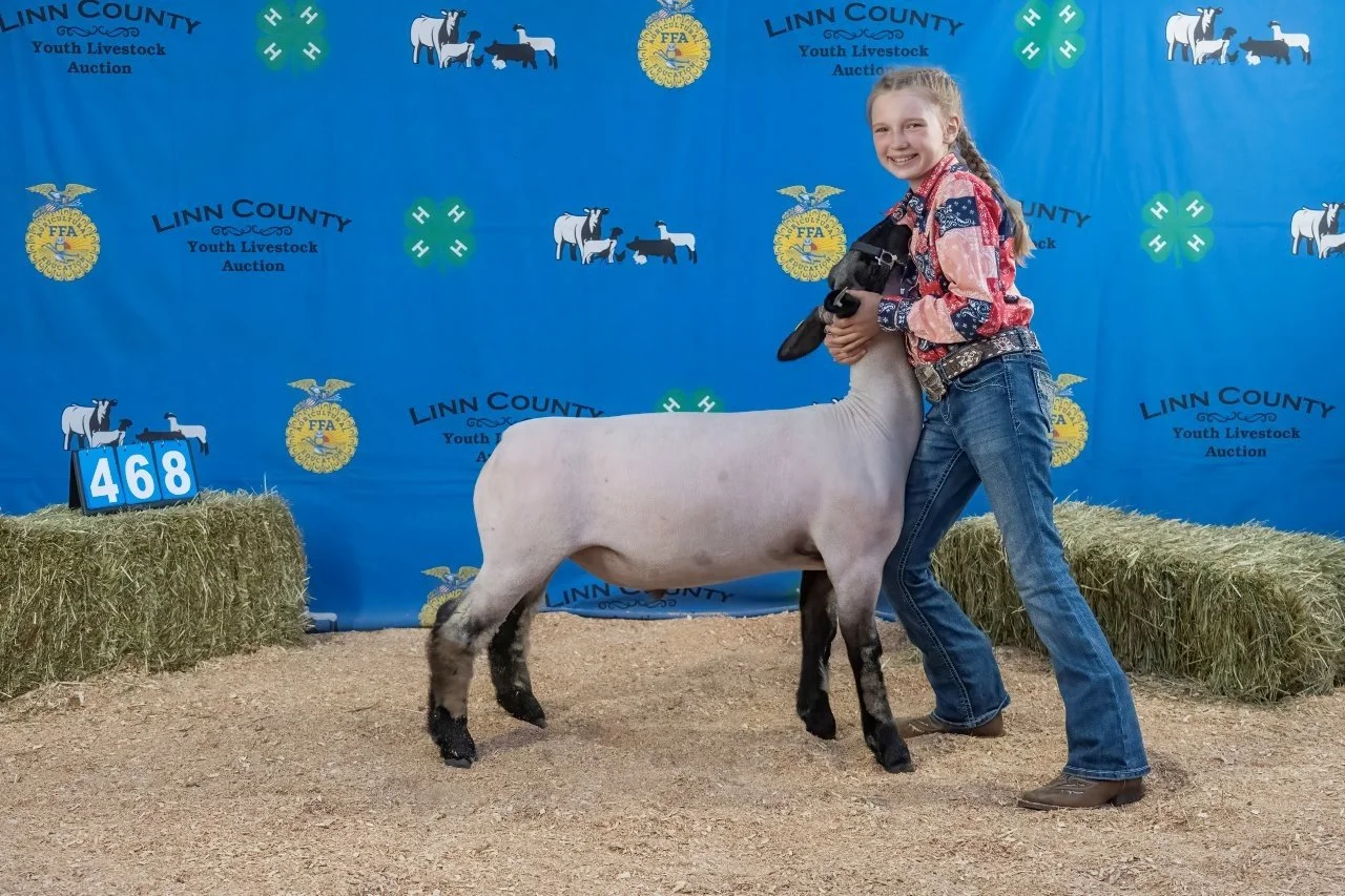 Sheep 468 (1 of 1).jpg