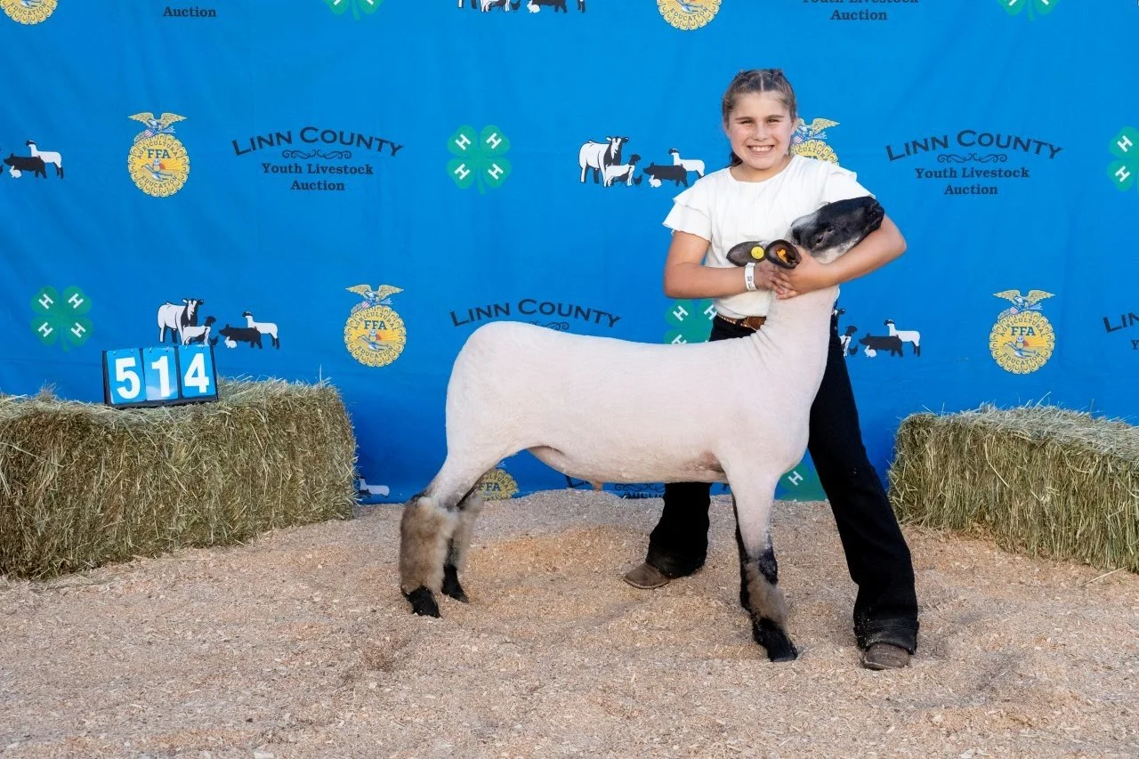 Sheep 514 (1 of 1).jpg