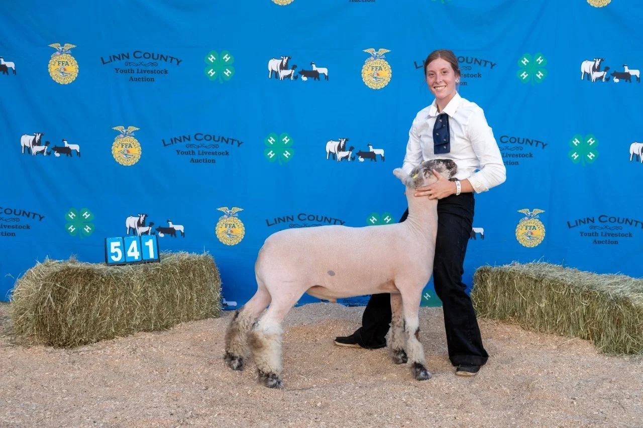 Sheep 541 (1 of 1).jpg