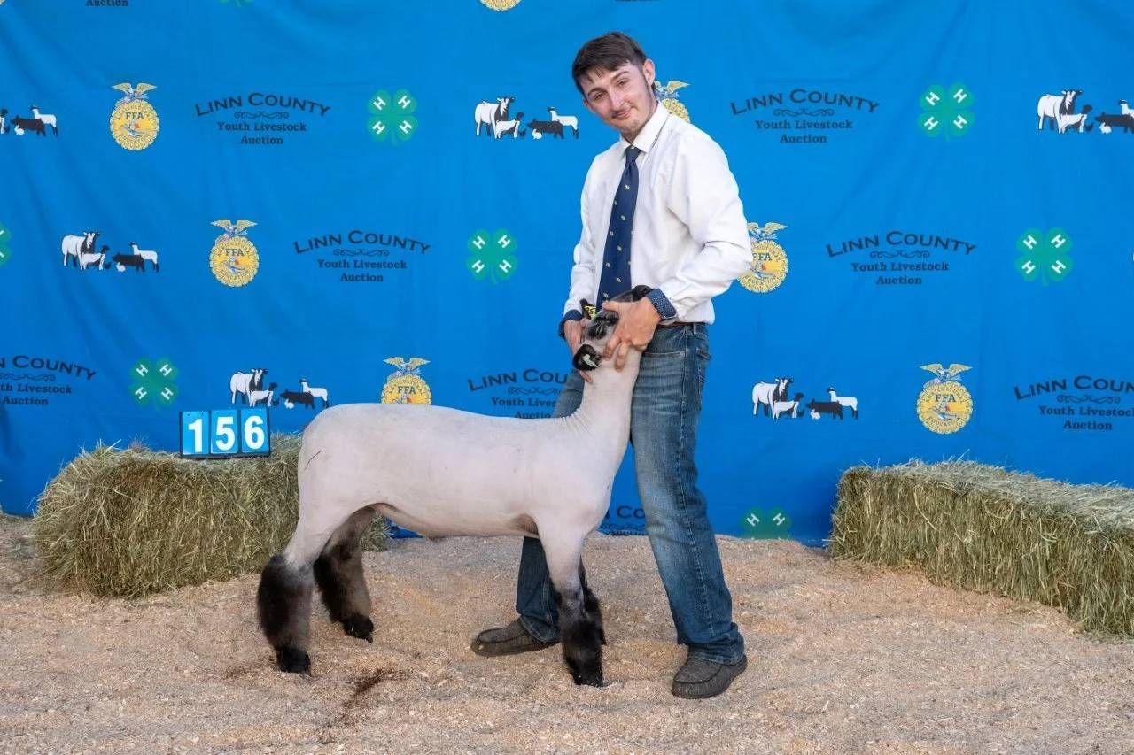 Sheep156 (1 of 1).jpg