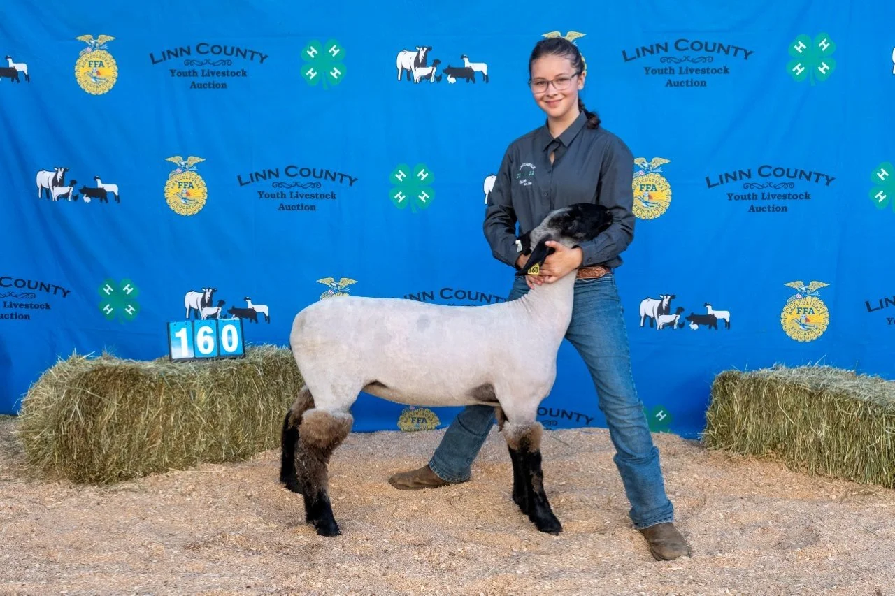 Sheep 160 (1 of 1).jpg