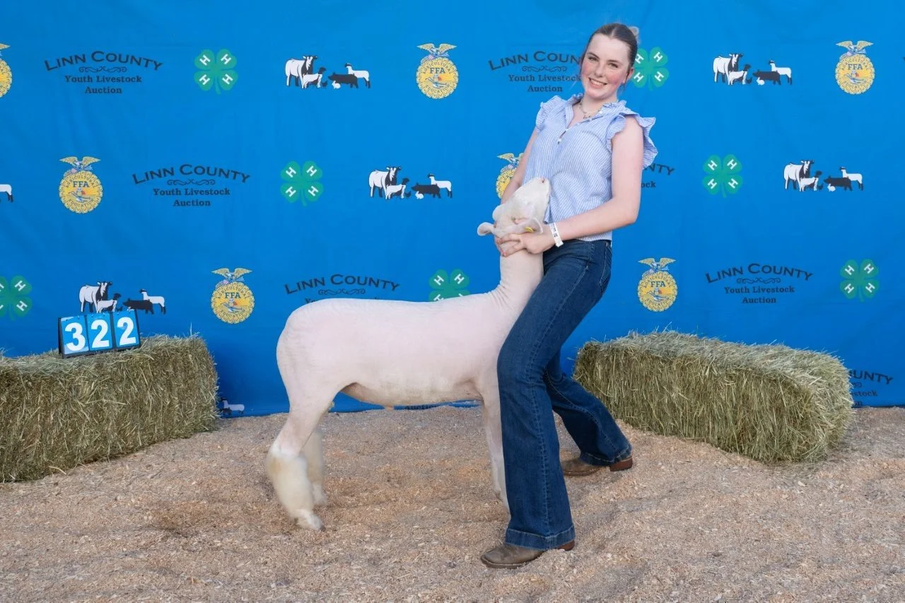Sheep 322 (1 of 1).jpg