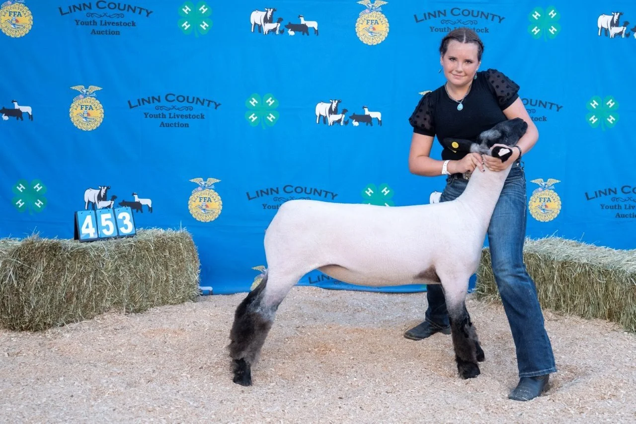 Sheep 453 (1 of 1).jpg