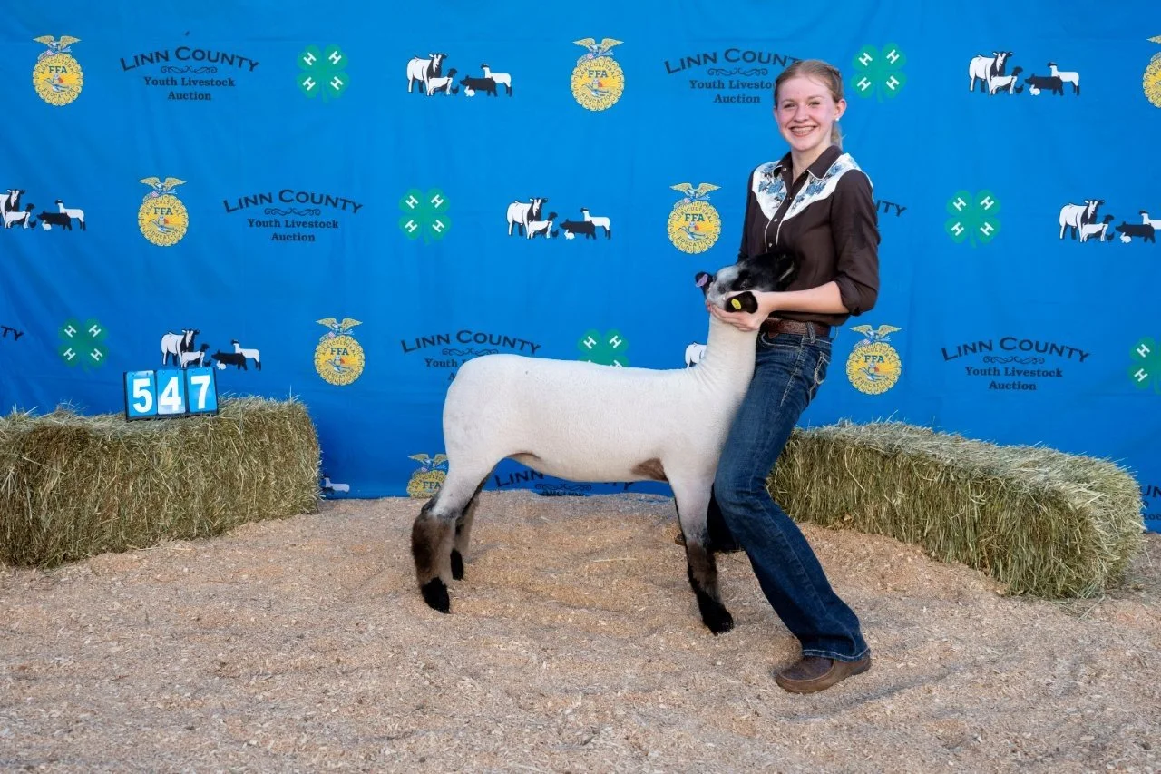 Sheep 547 (1 of 1).jpg