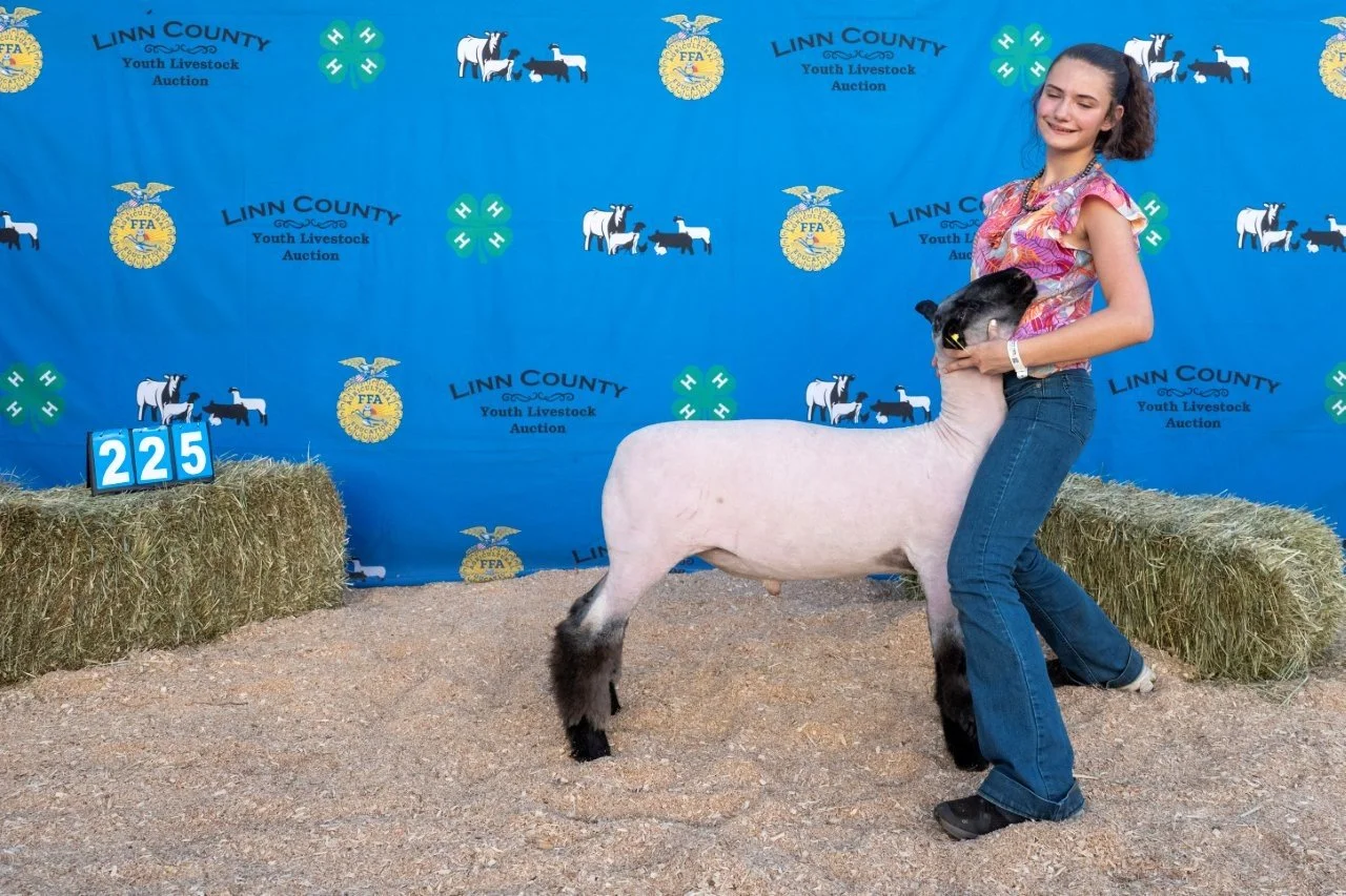 Sheep 225 (1 of 1).jpg