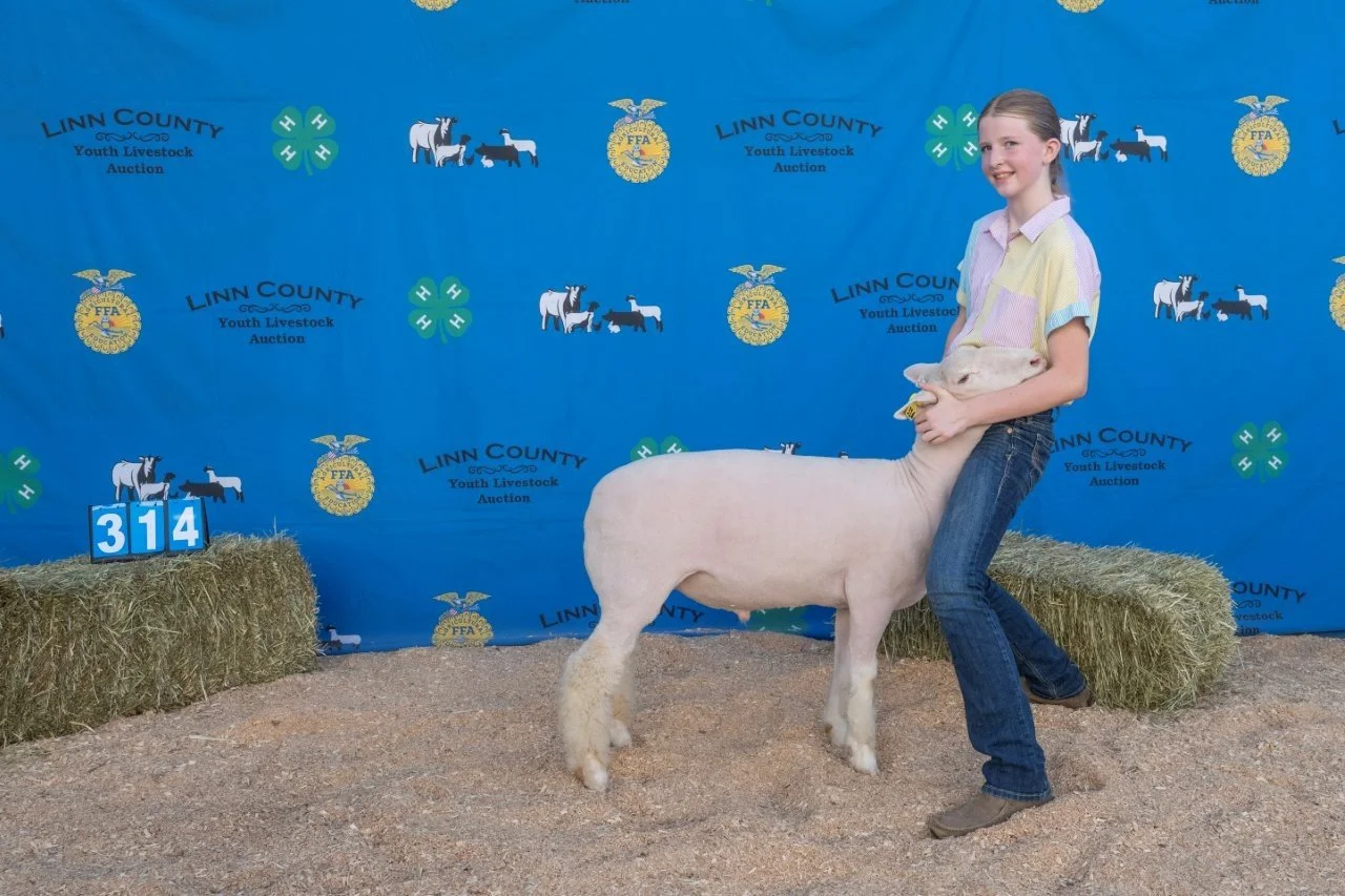Sheep 314 (1 of 1).jpg