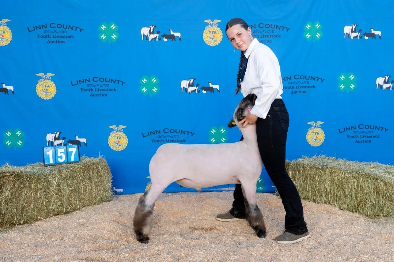 Sheep 157 (1 of 1).jpg
